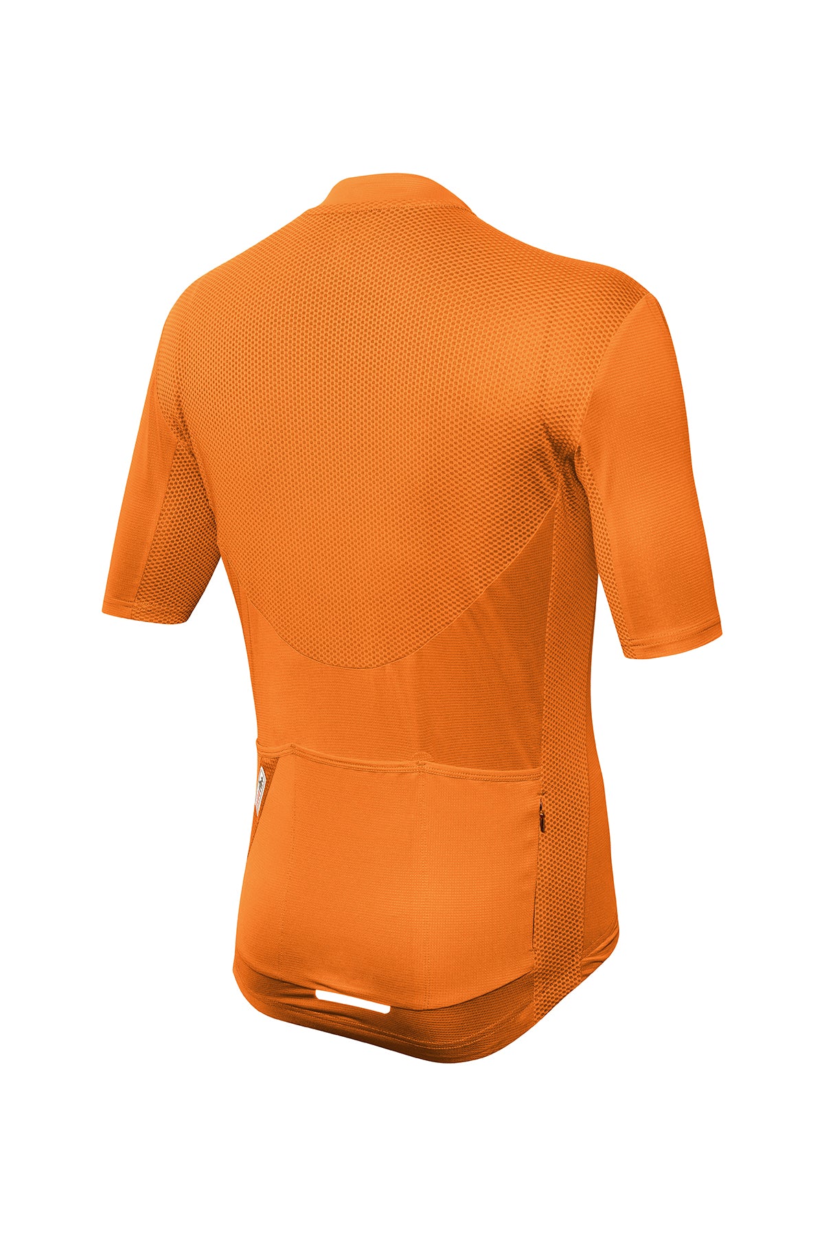ECU0978-331L_2